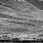 A photograph of a horse standing in a grassy field.