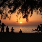 A photograph of silhouetted people and trees on a beach.