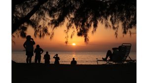 A photograph of silhouetted people and trees on a beach.