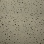 Water Droplets (Canon G9 X)