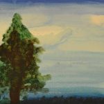 A watercolour painting of an evergreen tree.