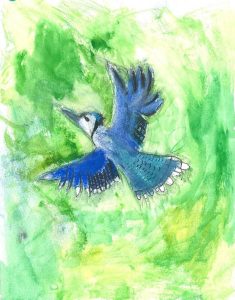 BlueJay