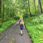 ARoadThroughtheWoods