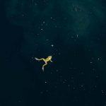 SwimmingthroughStarlight