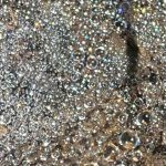 Dewdrops on Spider Web