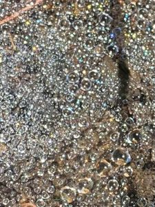 Dewdrops on Spider Web